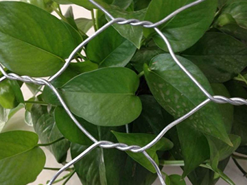 擰花石籠網 擰花石籠網