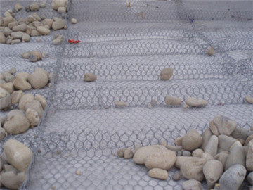 雷諾護墊 雷諾護墊