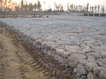 雷諾護墊 雷諾護墊