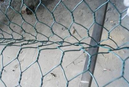 800453009483825412.jpg 800453009483825412.jpg