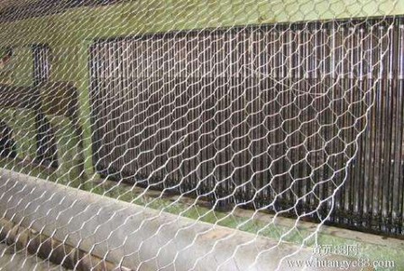 timg (38).jpg timg (38).jpg